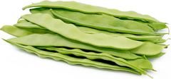Premium Spanish & Moroccan Green Beans – Fine, Extra Fine & Helda | Fresh Export Quality - Image 2